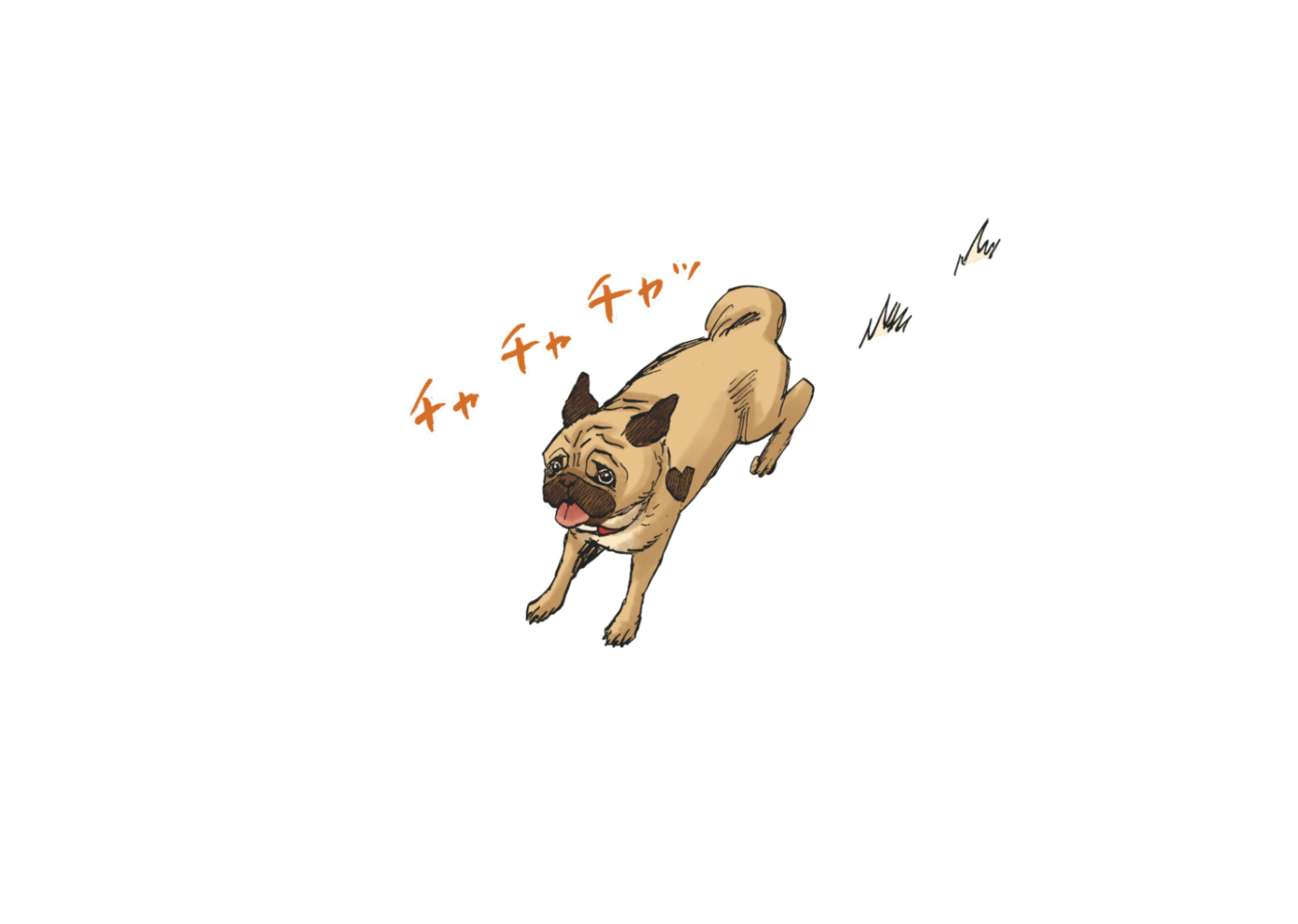 アポの神経衰弱