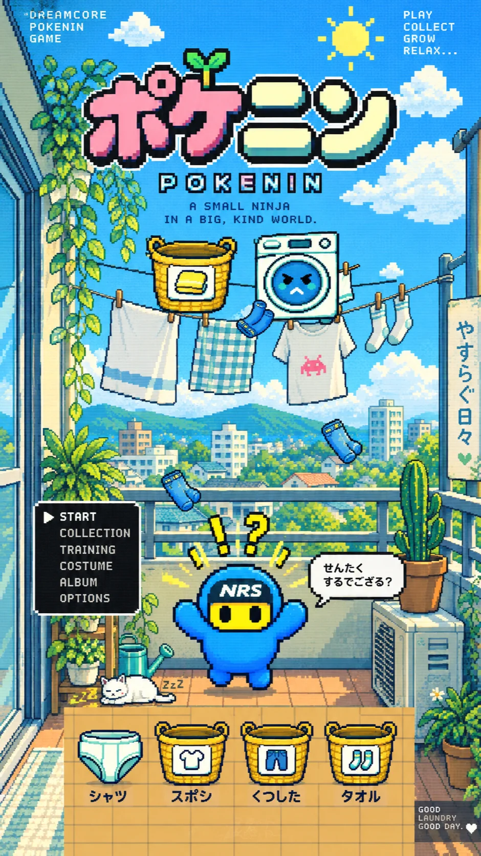 Pokenin Laundry Ninja!